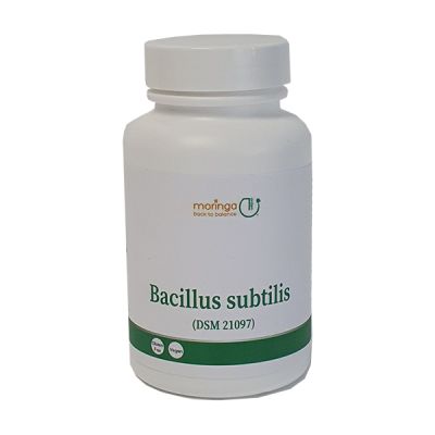Bacillus subtilis DSM 21097