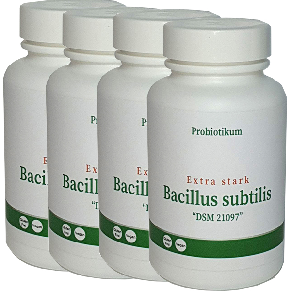 2x Bacillus subtilis "extra stark" 1 Jahr (+10% mehr Inhalt gegenüber der Monatsdose)